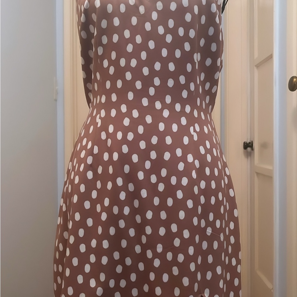 Abercrombie & Fitch Brown Polka Dot Mini Slip Dress
